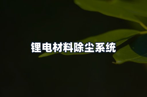 锂电材料除尘系统