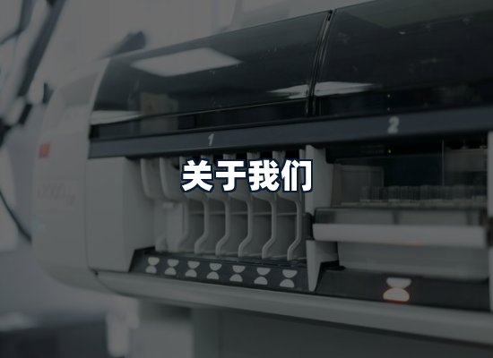 关于我们